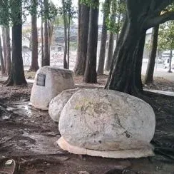 Monumento - Pedras em Homenagem a Friedrich Naumann