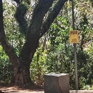 Monumento - Carlos Drummond de Andrade